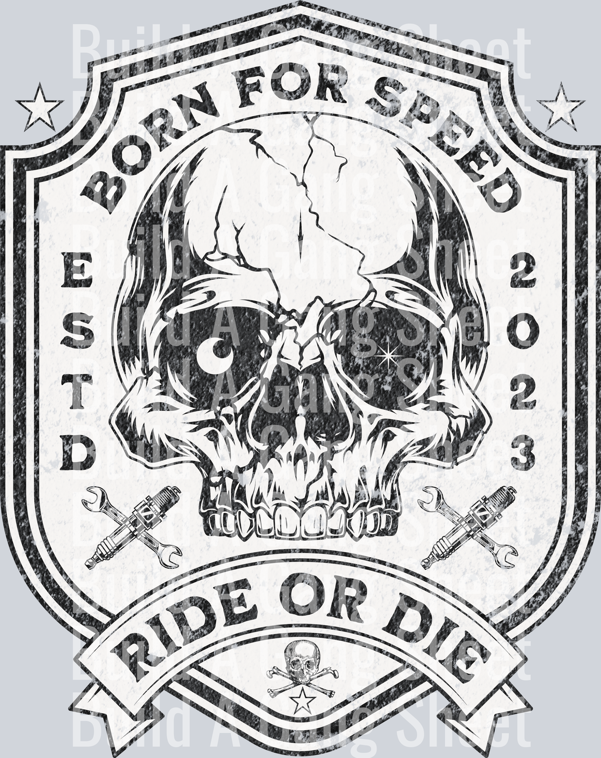 BORN FOR SPEED RIDE OR DIE